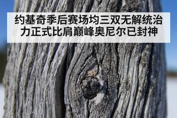 约基奇季后赛场均三双无解统治力正式比肩巅峰奥尼尔已封神