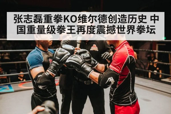 张志磊重拳KO维尔德创造历史 中国重量级拳王再度震撼世界拳坛